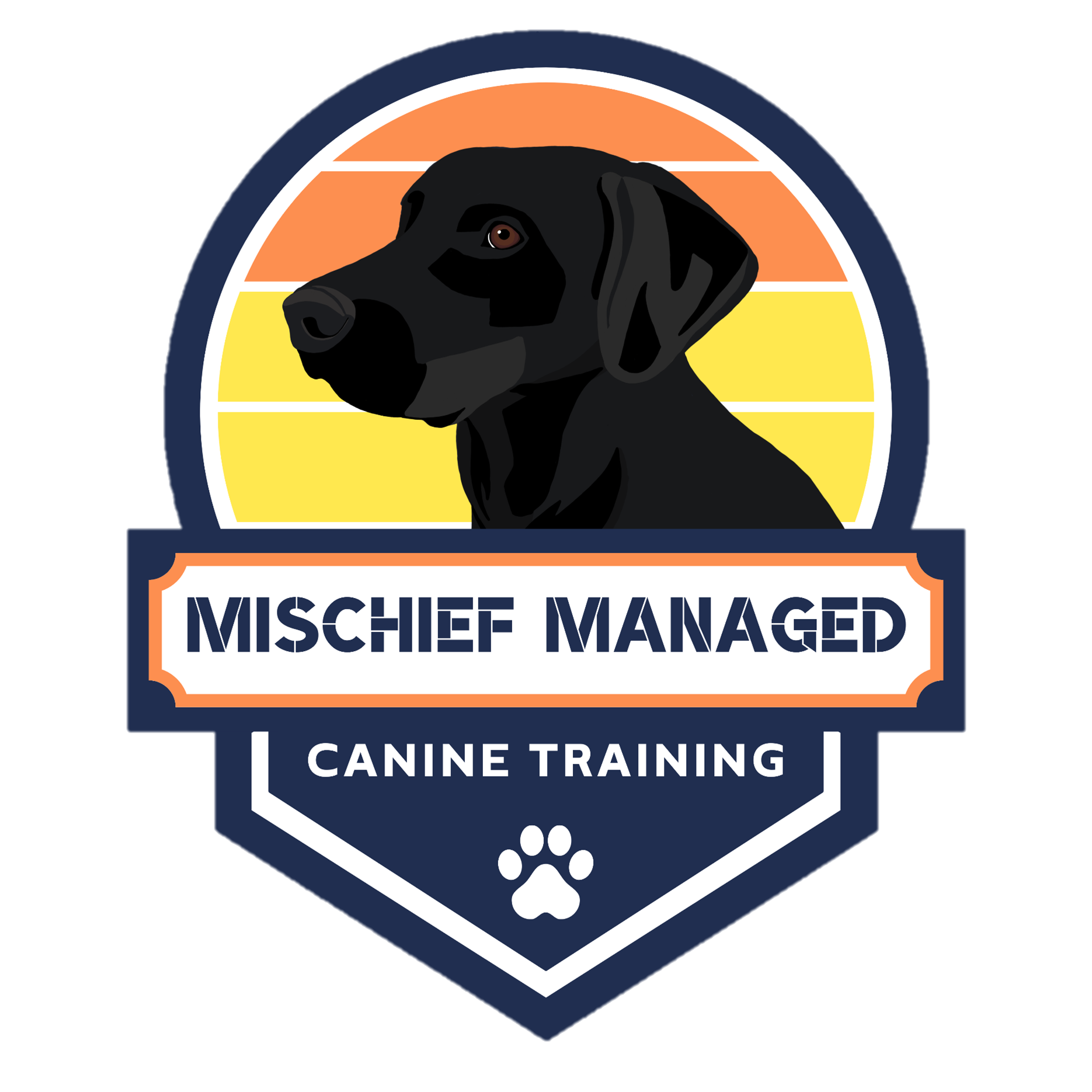 Mischief managed dog clearance collar